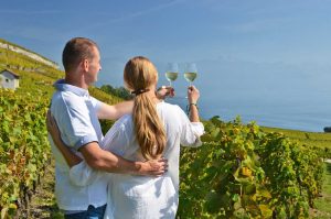 Cómo planificar tu experiencia de cata de vinos